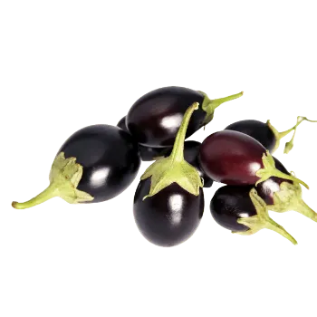 Brinjal (45)-1985113-72979.webp